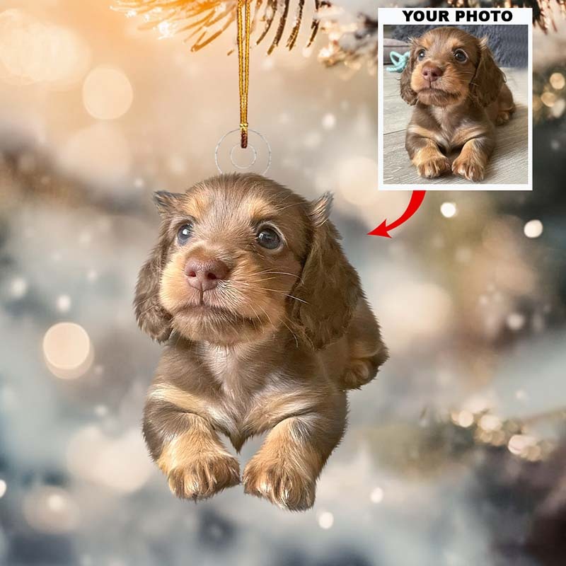 Personalized Photo Ornament Christmas Gifts For Pet Lover