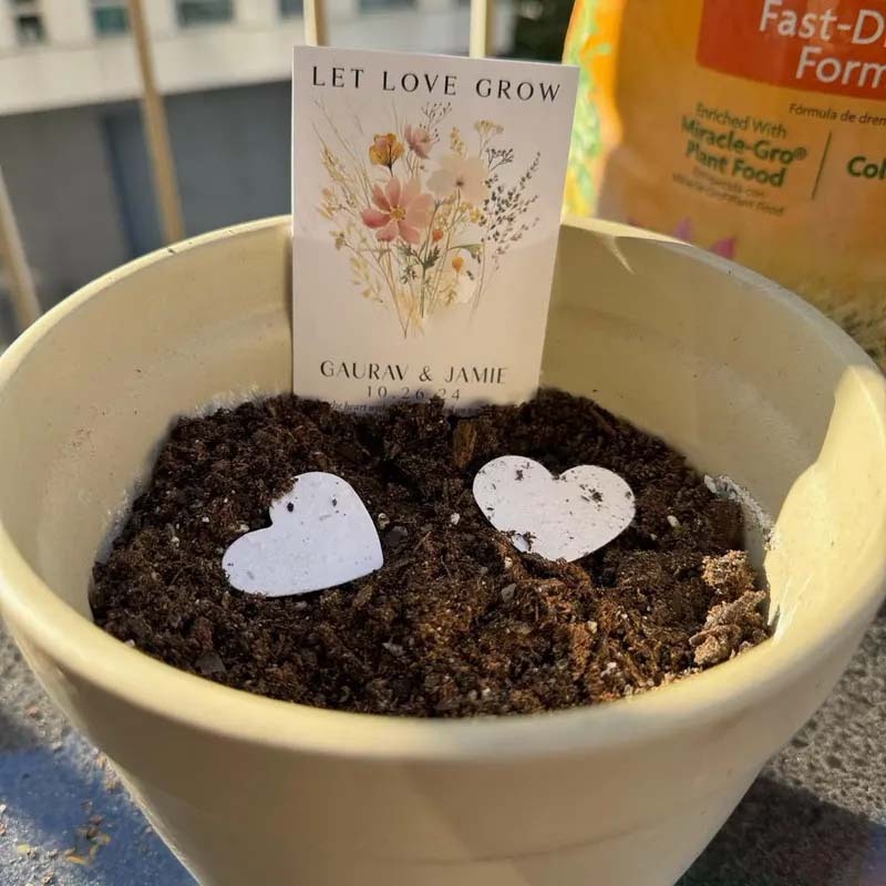 Custom Let Love Grow Wedding Plantable Seed Paper Favor Cards
