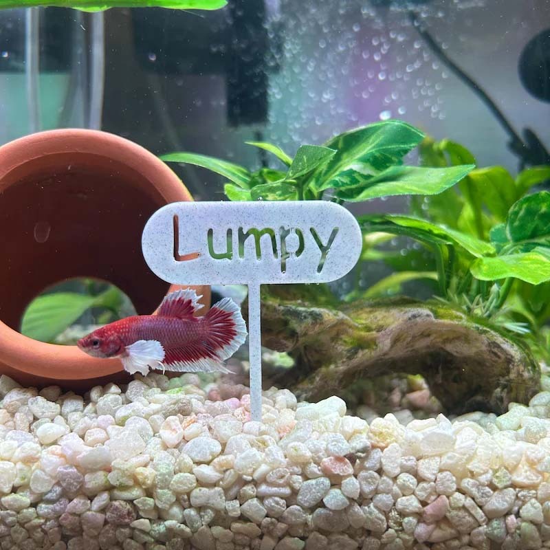 3D printed Name Tag | Personalize your Fish tank with its own name