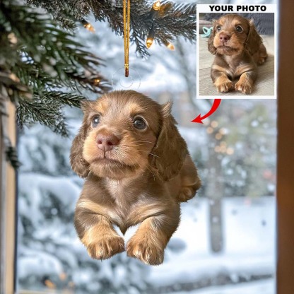 Personalized Photo Ornament Christmas Gifts For Pet Lover