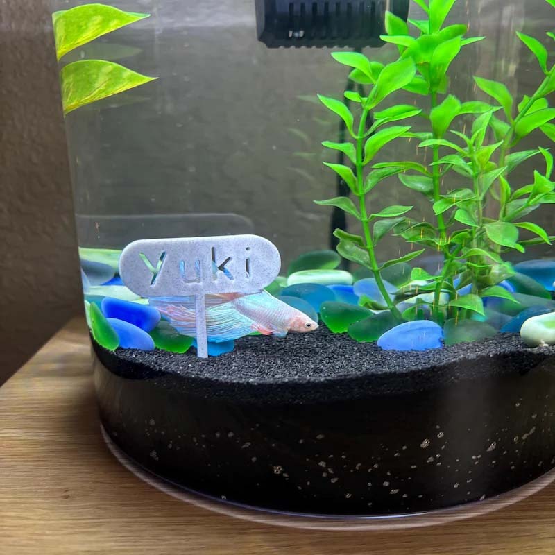 3D printed Name Tag | Personalize your Fish tank with its own name