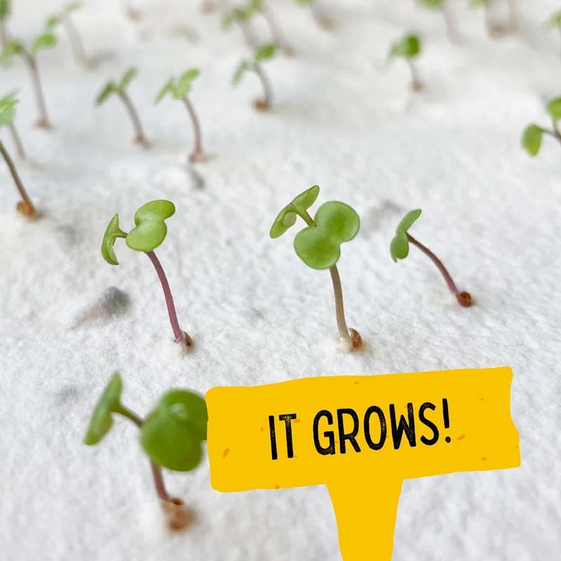 Custom Easter egg-shaped seed paper First Easter Gift