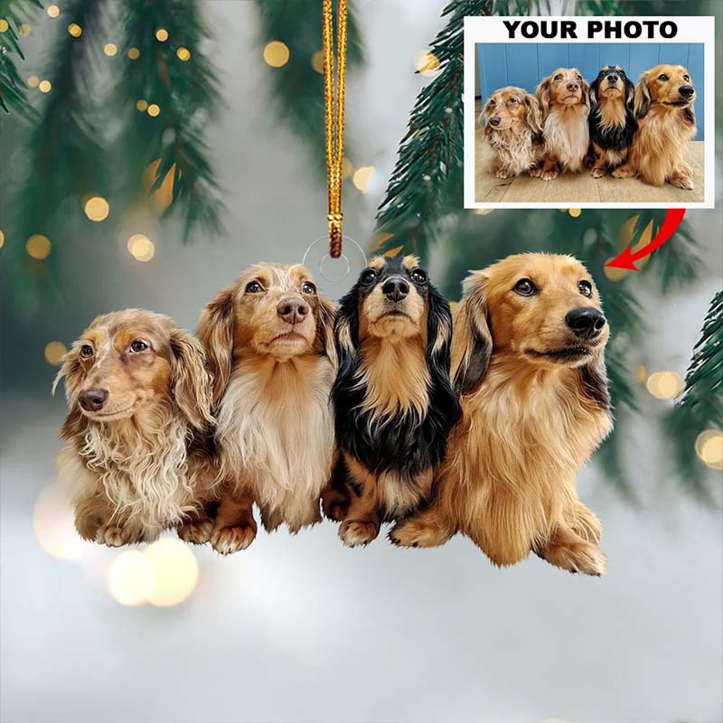 Personalized Photo Ornament Christmas Gifts For Pet Lover