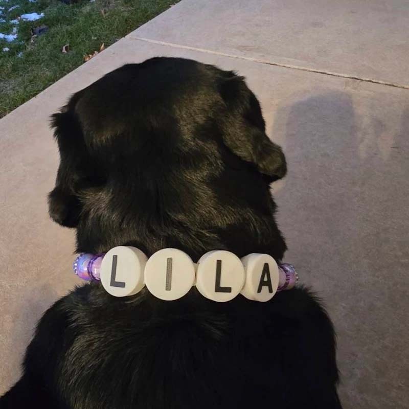 Personalized dog collar with large beads Your pups name on a custom made adjustable beaded necklace