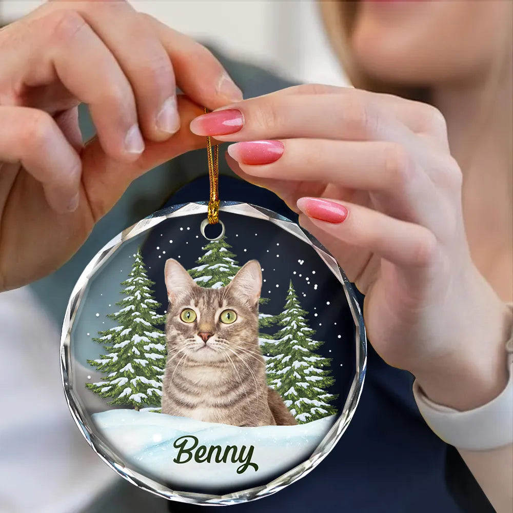 Custom Photo Pet Face - Christmas Gift For Dog Lovers, Cat Lovers, Pet Lover