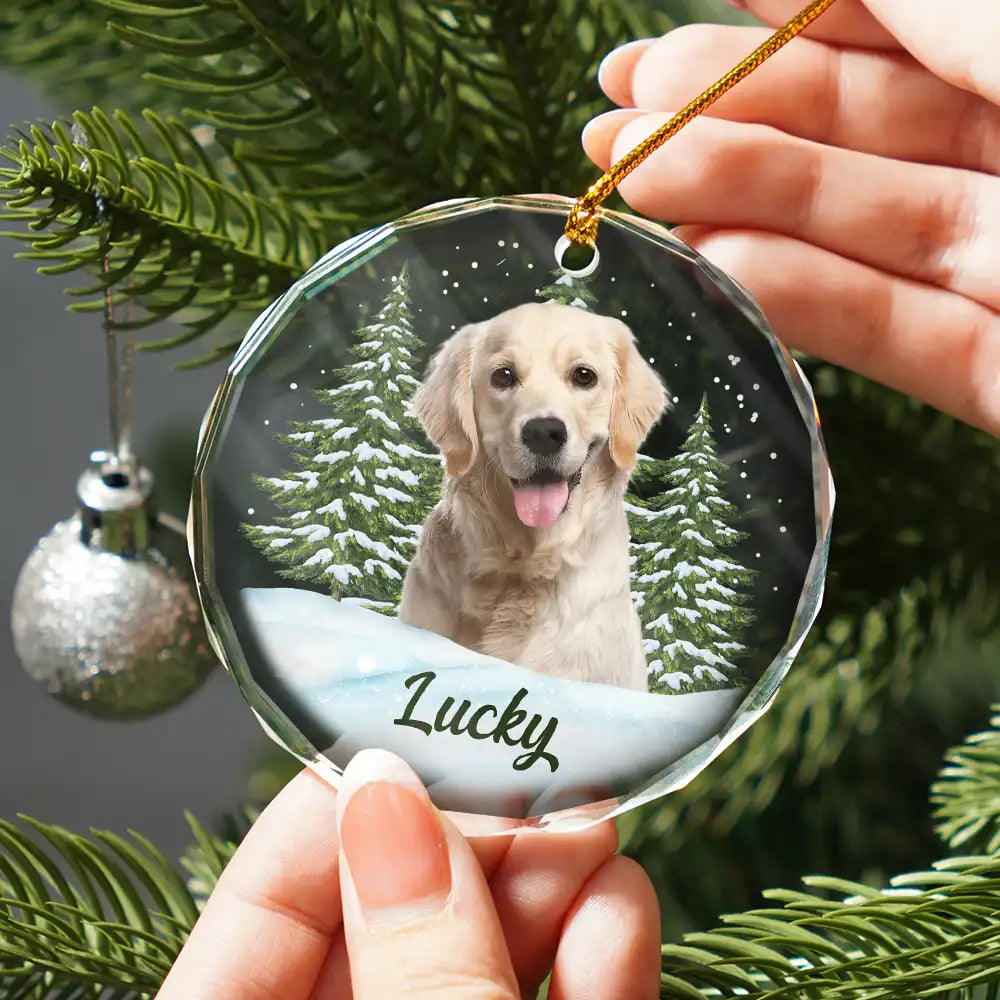 Custom Photo Pet Face - Christmas Gift For Dog Lovers, Cat Lovers, Pet Lover
