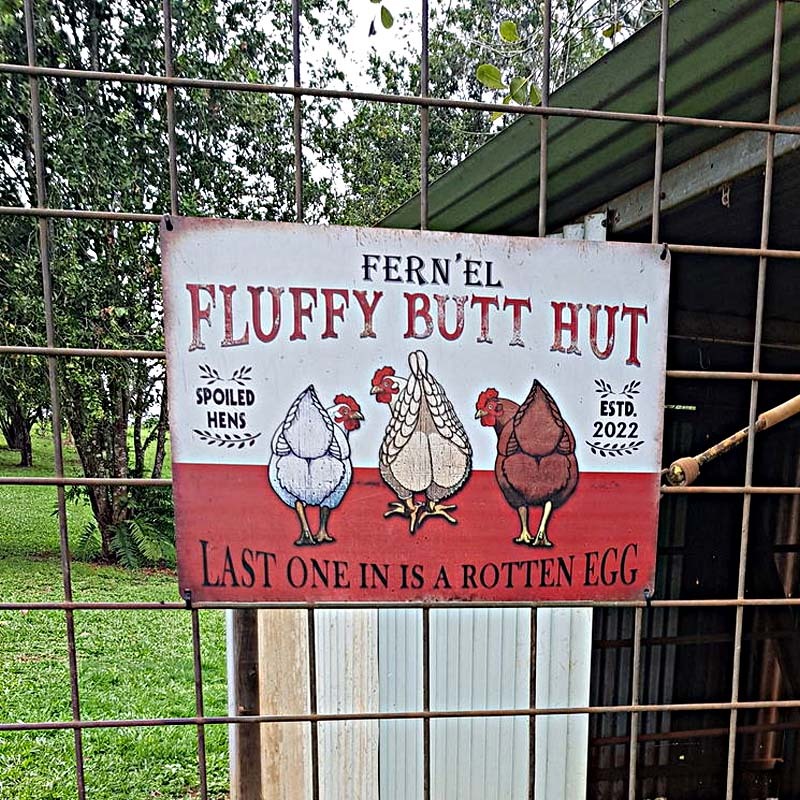 Personalized Chicken Fluffy Butt Hut Nuggets Customized Classic Metal Signs