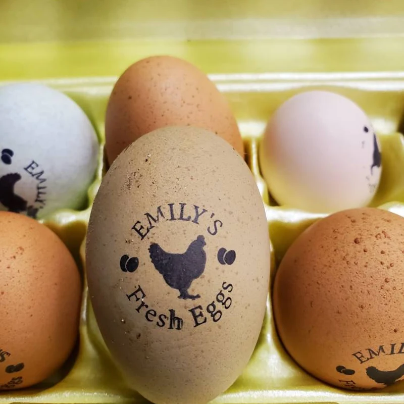 Custom Egg Stamp, Egg Stamp, Custom Egg Carton Stamp Chicken Coop Egg Stamp