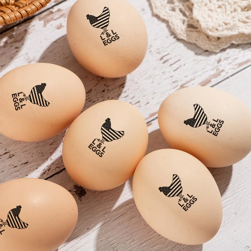 Custom Egg Stamp, Egg Stamp, Custom Egg Carton Stamp Chicken Coop Egg Stamp