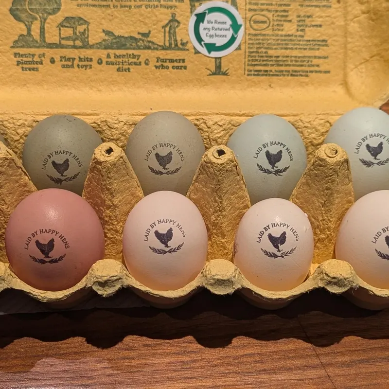 Custom Egg Stamp, Egg Stamp, Custom Egg Carton Stamp Chicken Coop Egg Stamp