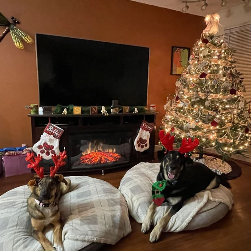 Personalized Dog Christmas Stocking Plaid Dog Christmas Stocking, Cat stocking