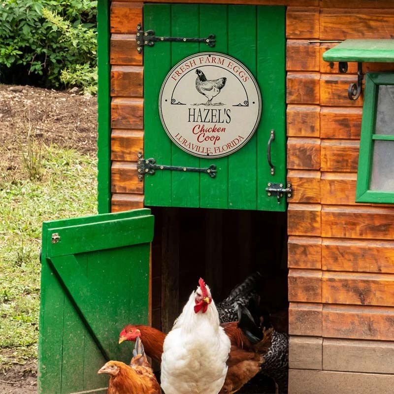 Personalized Rural Charm Chicken Coop Sign with Text Farm Decor Christmas Gift for Farmer