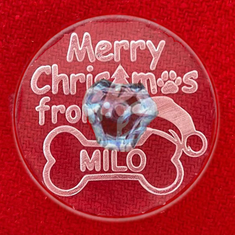 Custom Dog Name Cookie Stamp Cat Christmas Cookie Cat Stamp