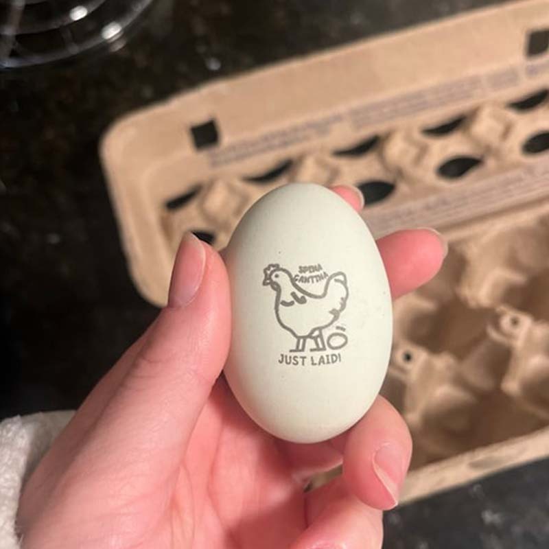 Personalized Egg Stamp Farm Fresh Eggs Stamper Farmers Market