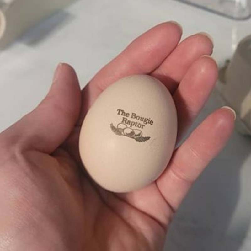 Personalized Egg Stamp Farm Fresh Eggs Stamper Farmers Market