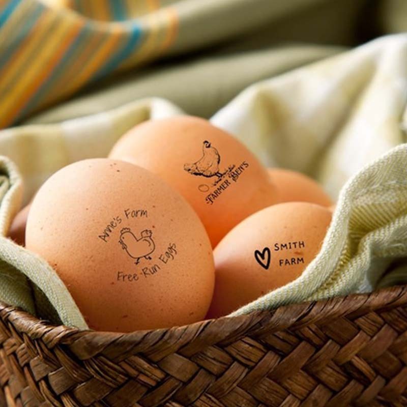Personalized Egg Stamp Farm Fresh Eggs Stamper Farmers Market