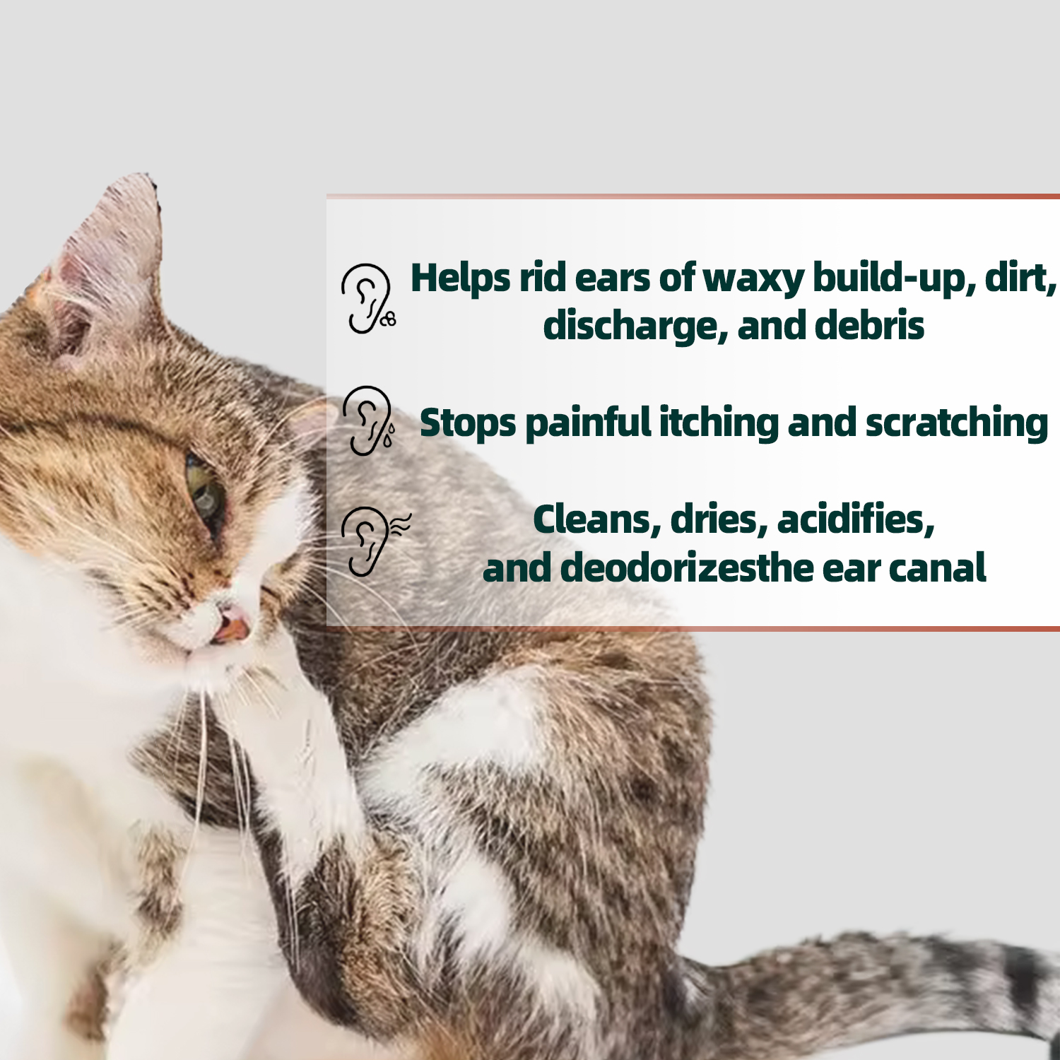  Sensive Ears Irritation Dog Ear Cleaner