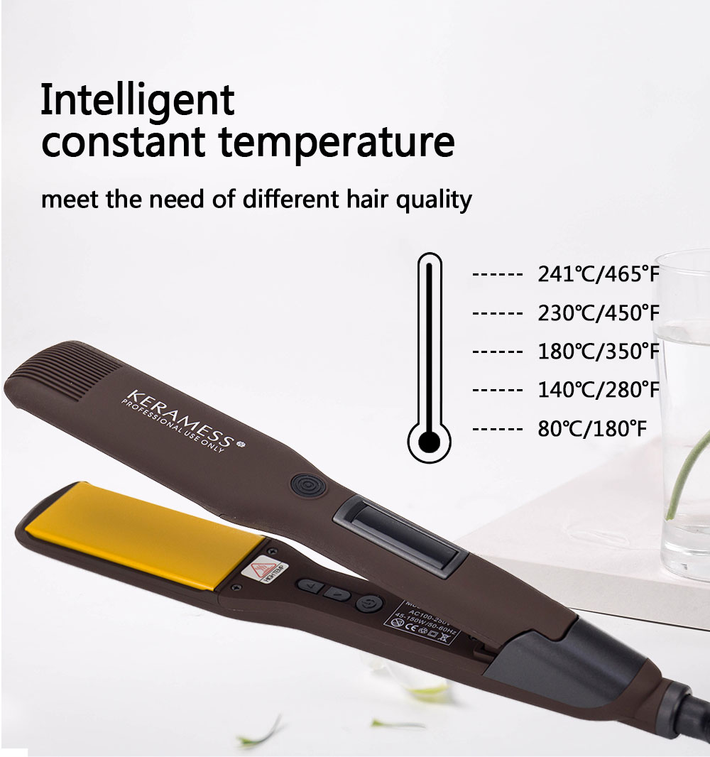  Hair Straightener Titanium Flat Iron 