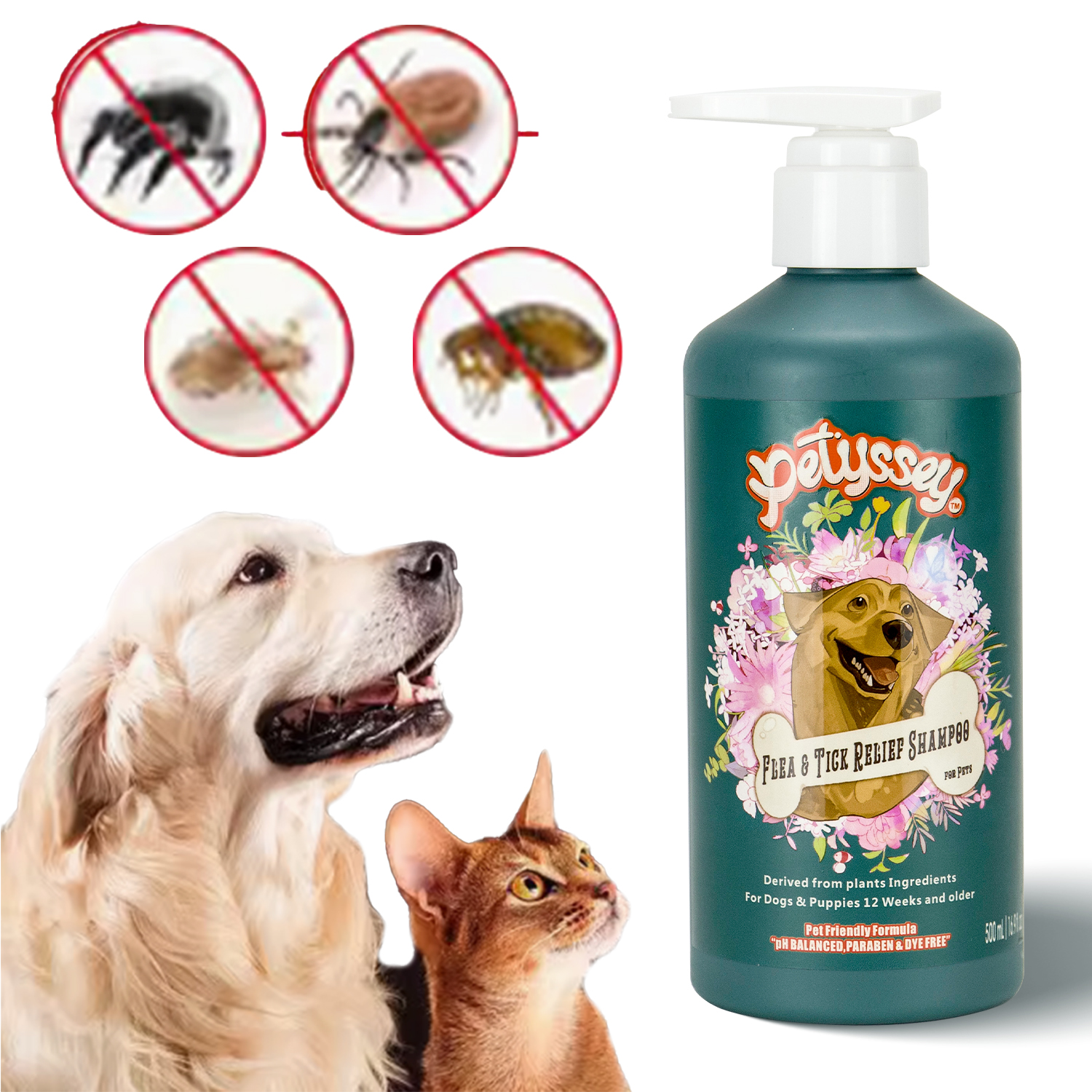 6 in 1 Skin Care Deeply Cleaning Shampoo Conditioner