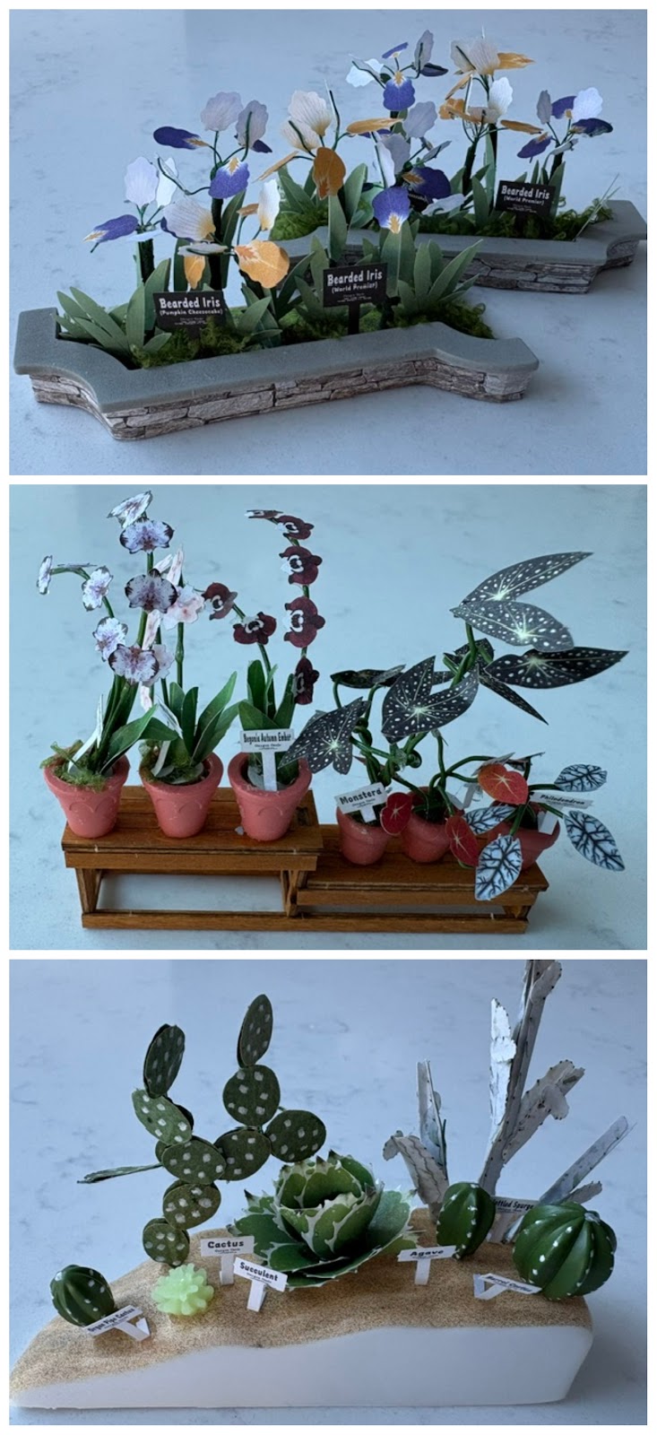Handmade tropical plant groups prepared for Oxygen Oasis