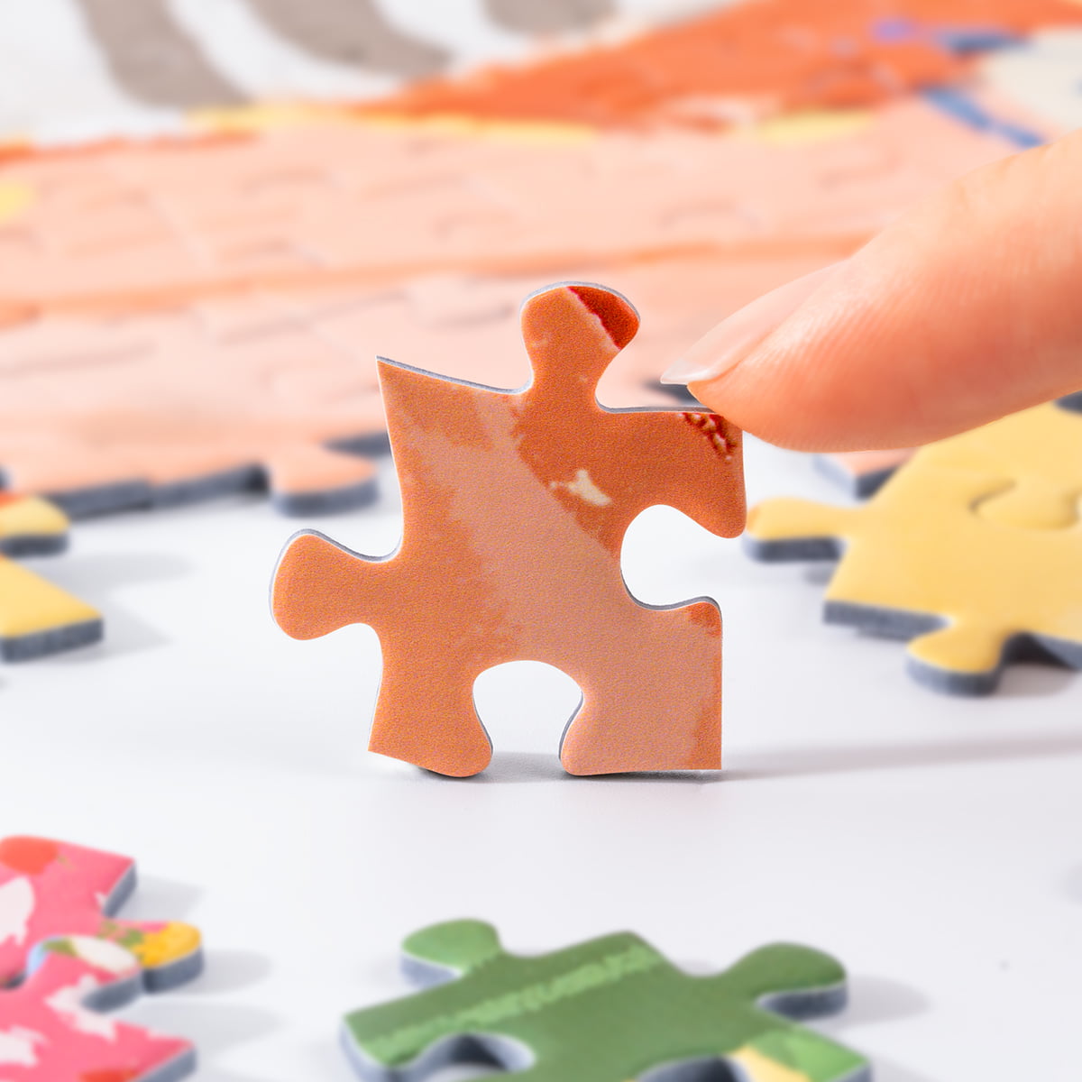 Rolife 1000 Piece Jigsaw Puzzle - Leisurely Holiday PT002