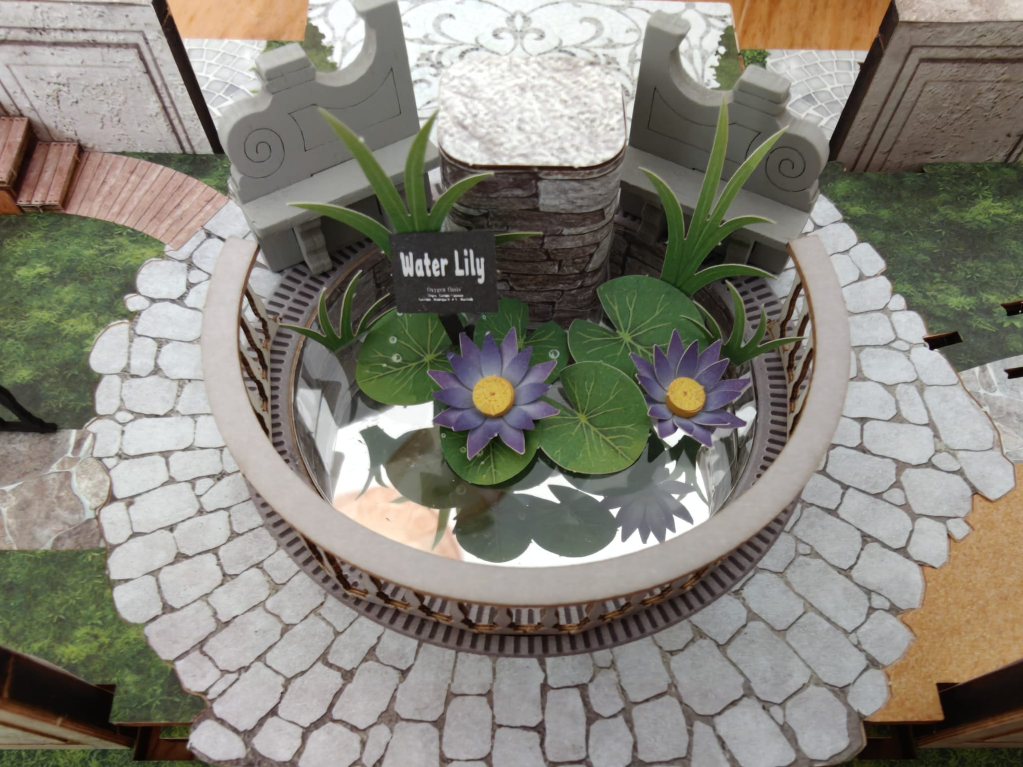 Oxygen Oasis pond and water-lily detail during assembly