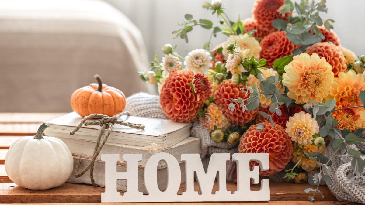 Best Housewarming Gift for DIY lovers