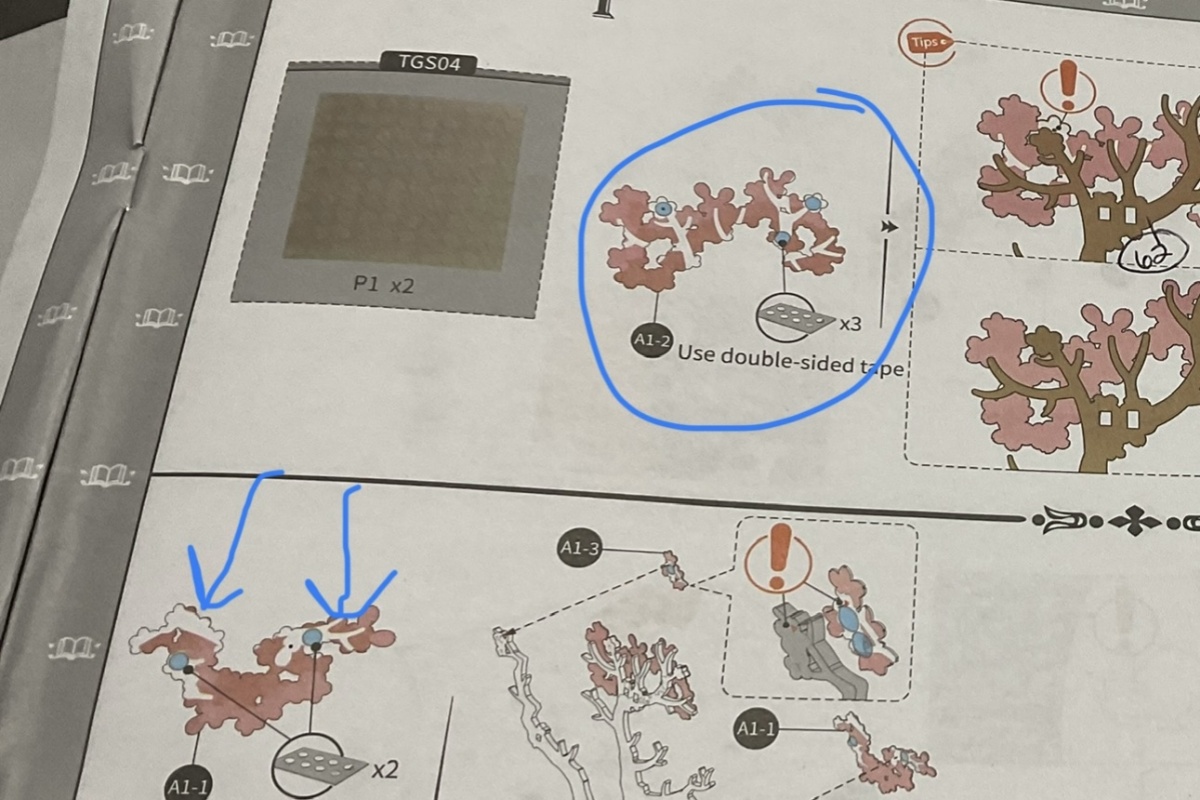 Embracing the Learning Curve