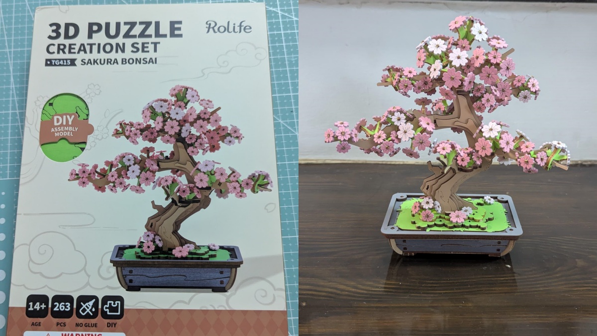 Jill’s Journey with the Rolife Sakura Bonsai