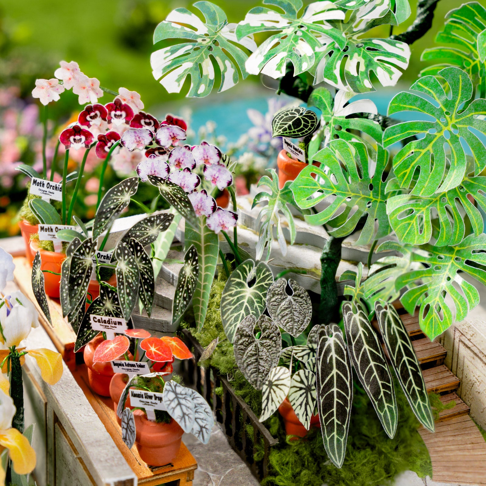 Oxygen Oasis botanical details with begonias, orchids, iris, and tropical foliage