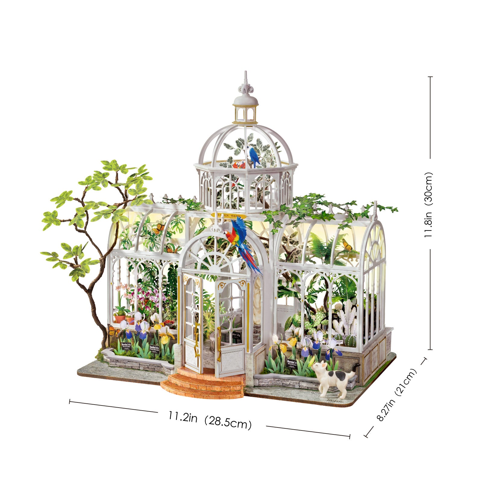 Rolife Oxygen Oasis DH102 assembled dimensions: 285 by 210 by 300 millimeters