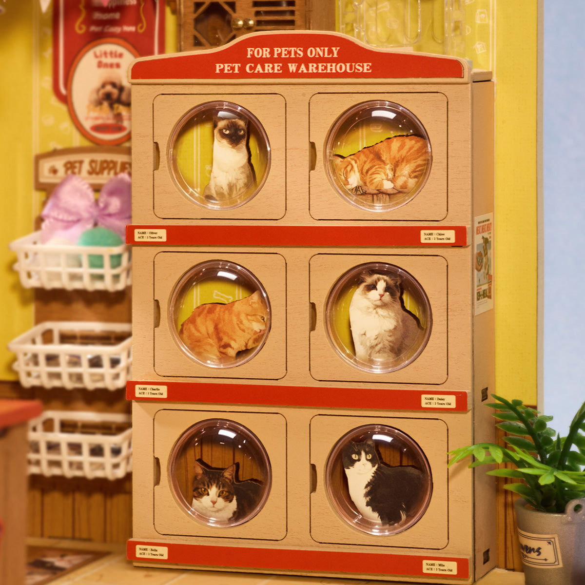 Rolife Fluffy Friends Store DIY Miniature House interior detail image