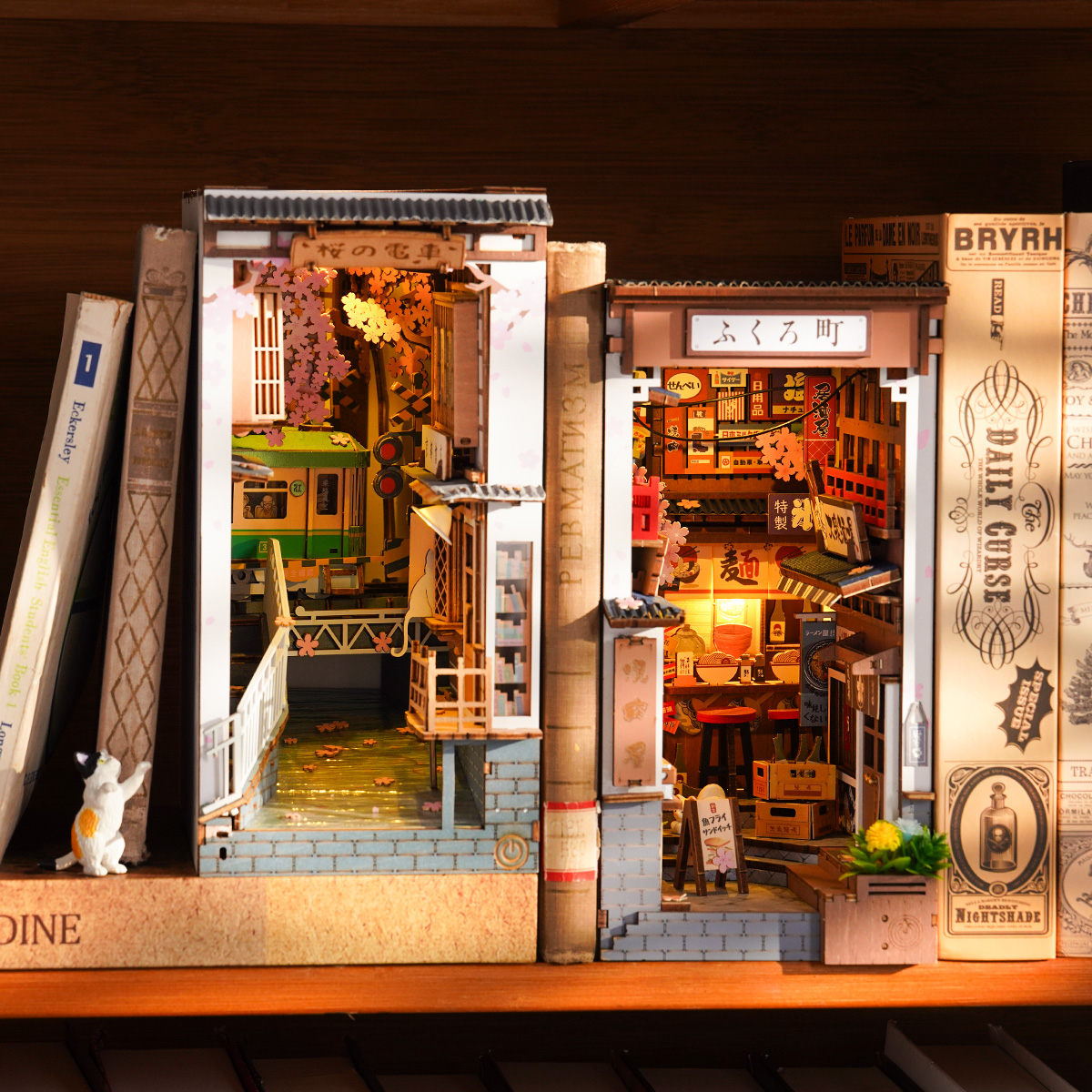 Rolife Book Nook Shelf Insert - Sakura Densya TGB01