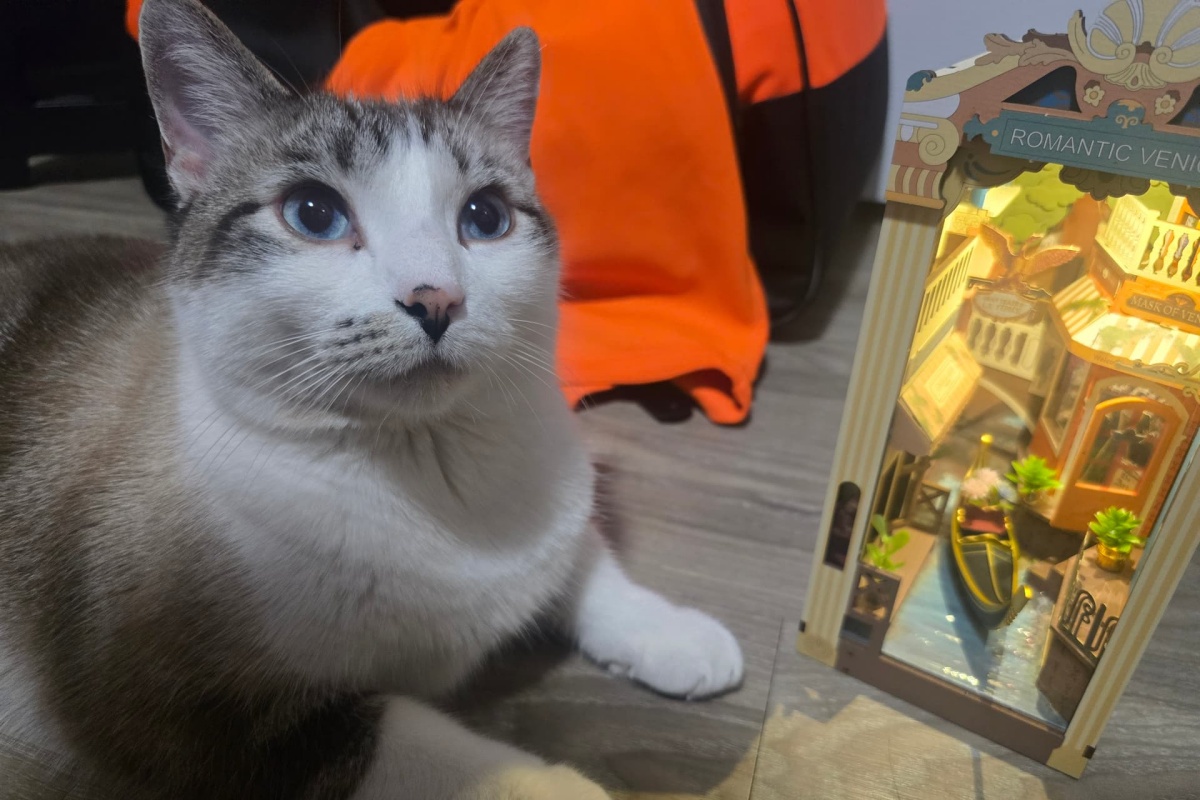 Romantic Venice by Emma_samchek