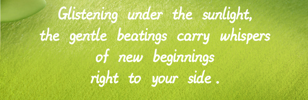 Rolife Nanci Spring Bear MN003 poetic spring message on a green background.