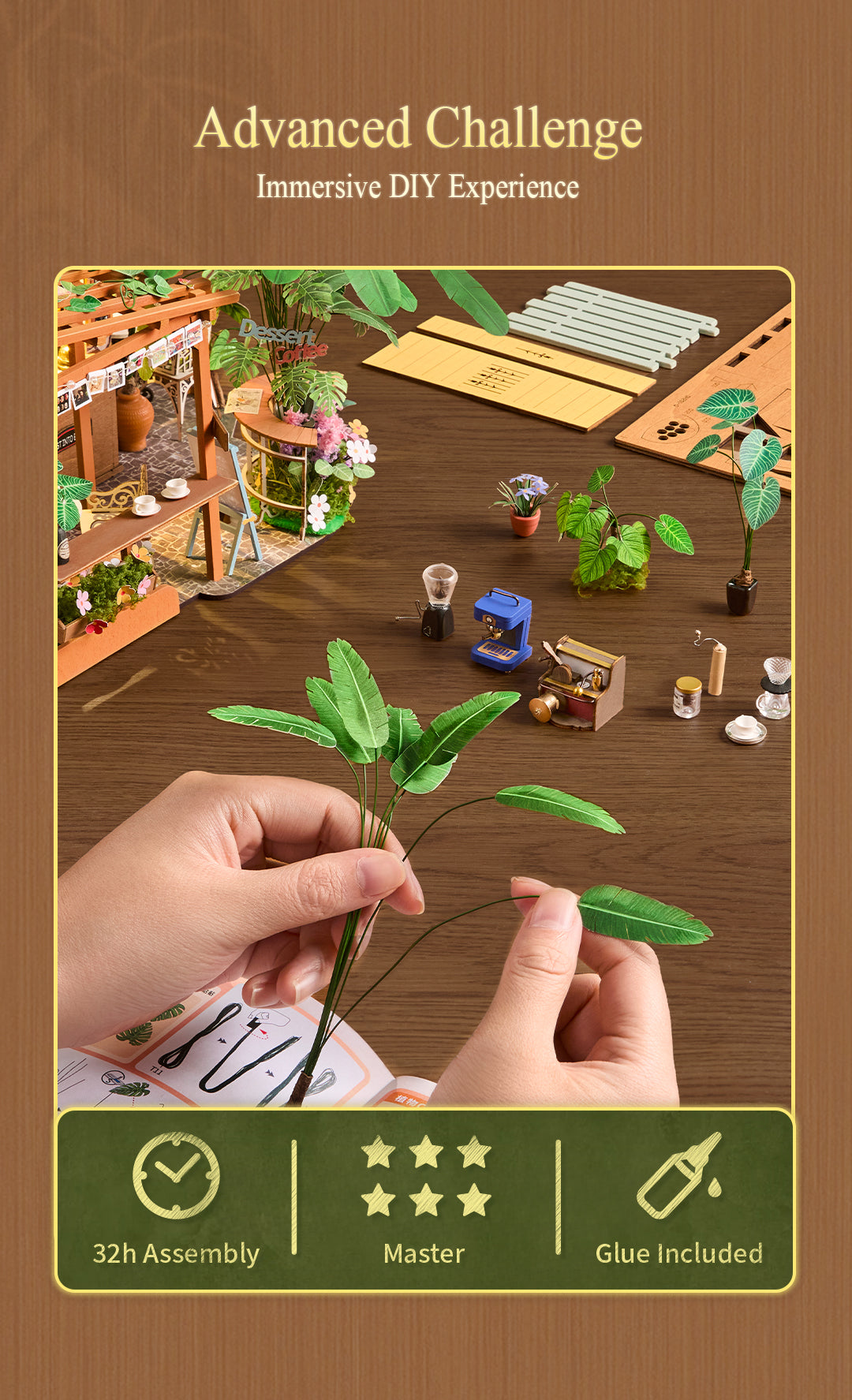 Leafree Café gift-ready package and completed model display