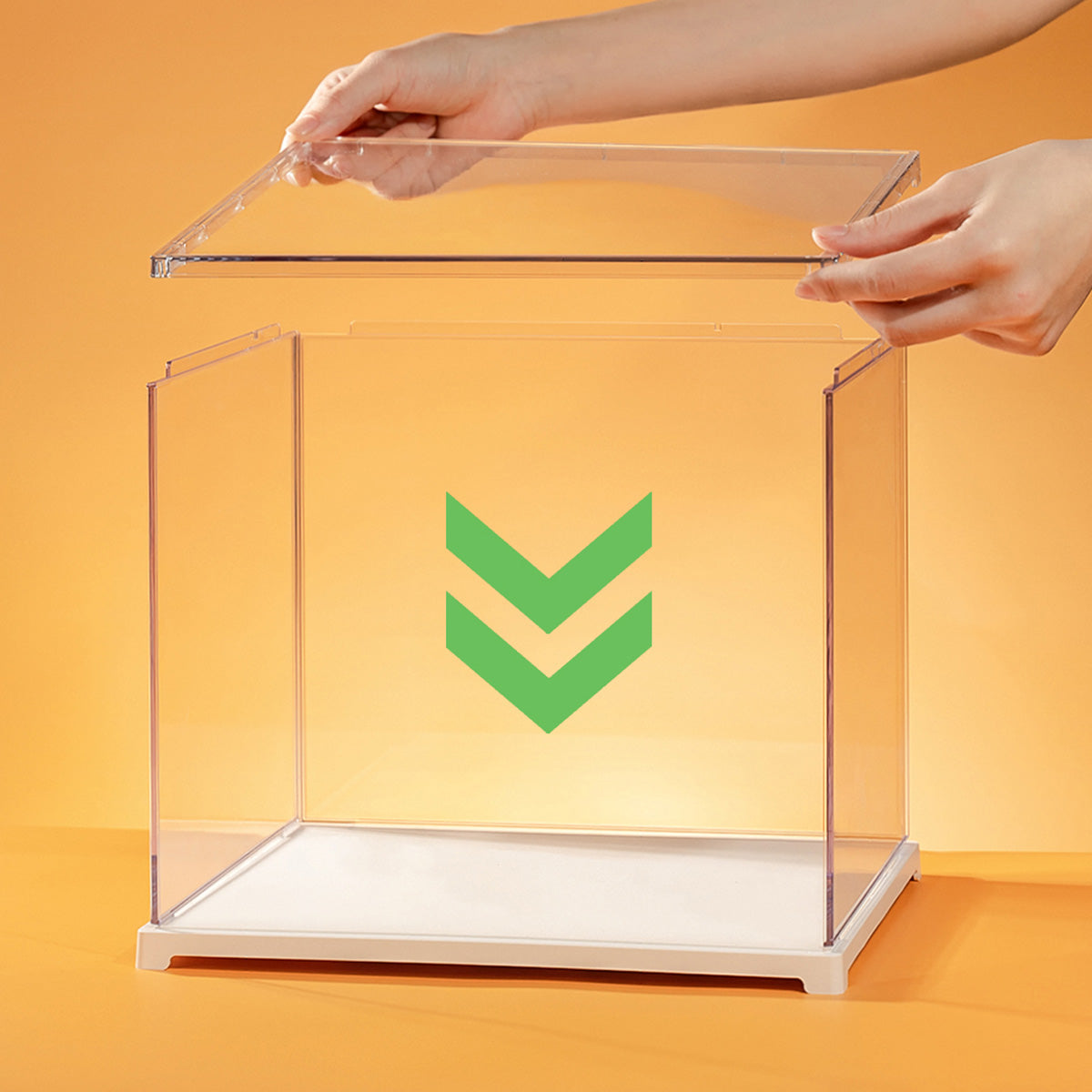 Rolife Clear Display Case Portrait Size M DF05L