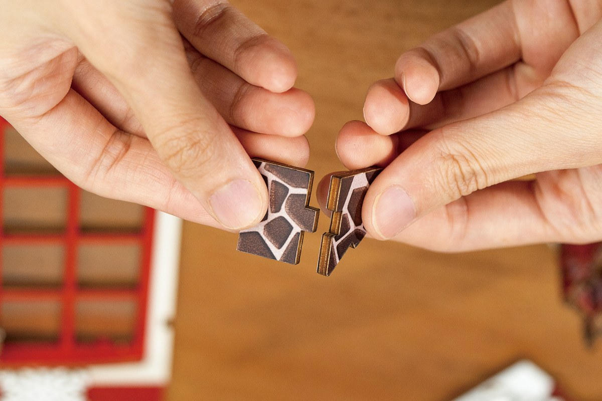 build the christmas kit