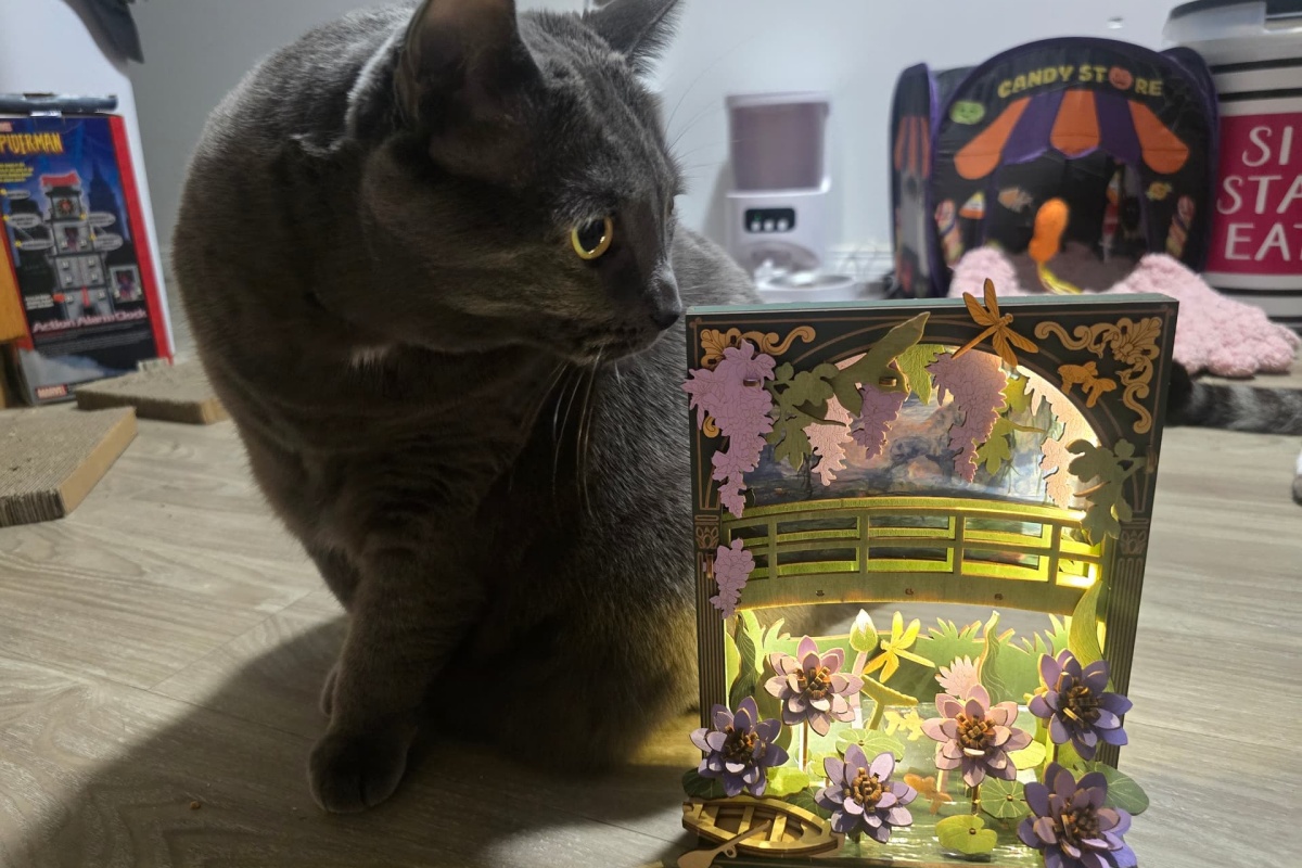 cat Bulma and rolife Glittering Water Lily wooden puzzles