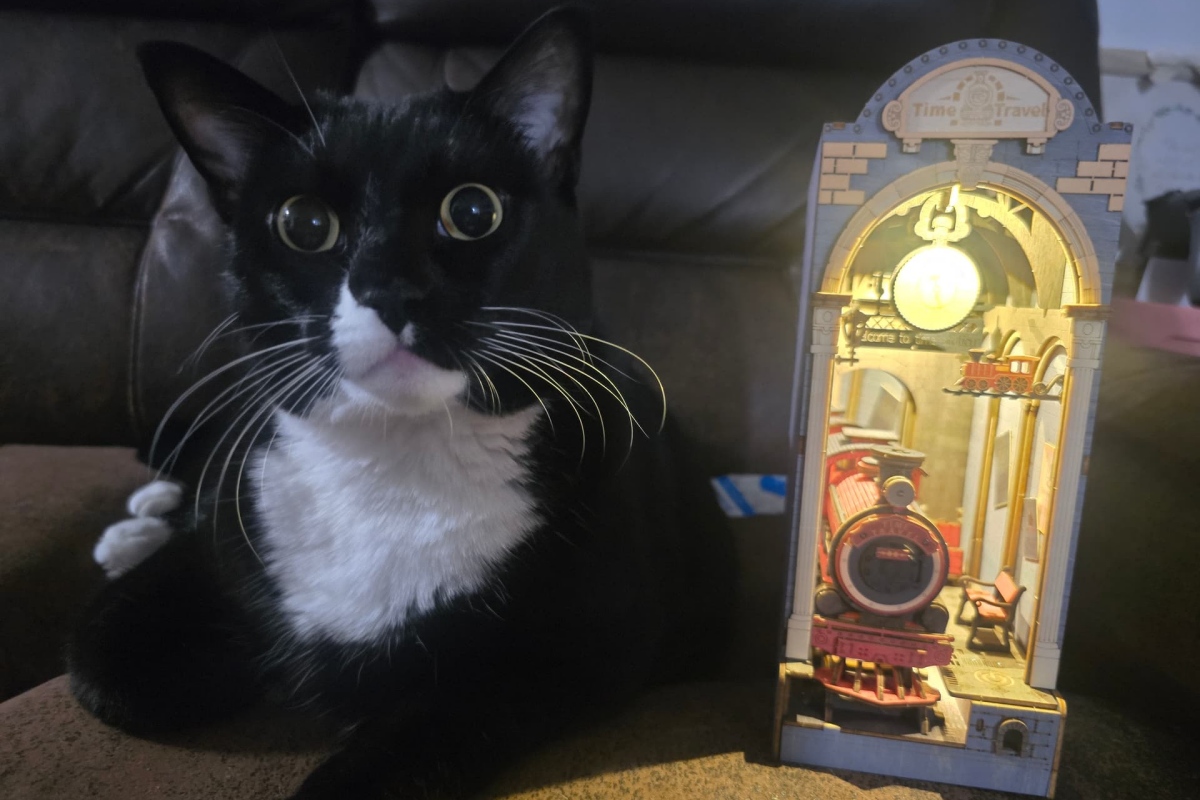 cat Caulifla and rolife Time Travel booknook