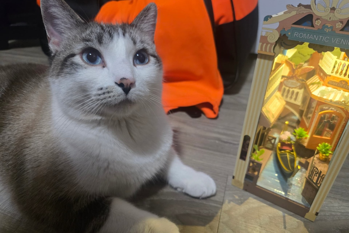 cat Kakorat and rolife Romantic Venice book nook