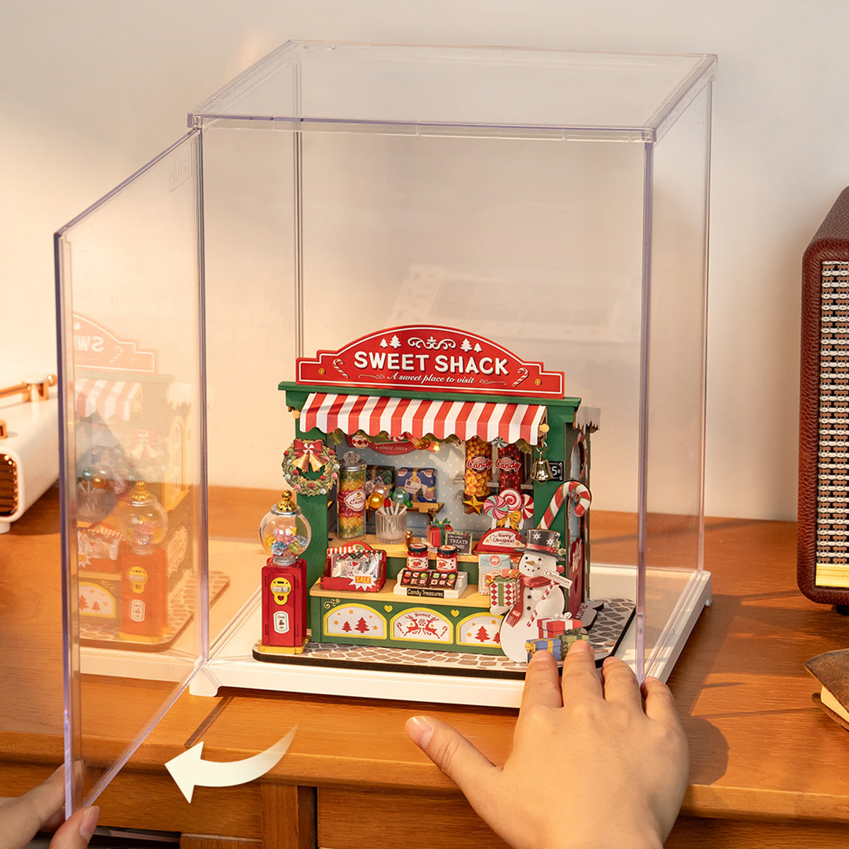 Rolife Clear Display Case Portrait Size M DF05L