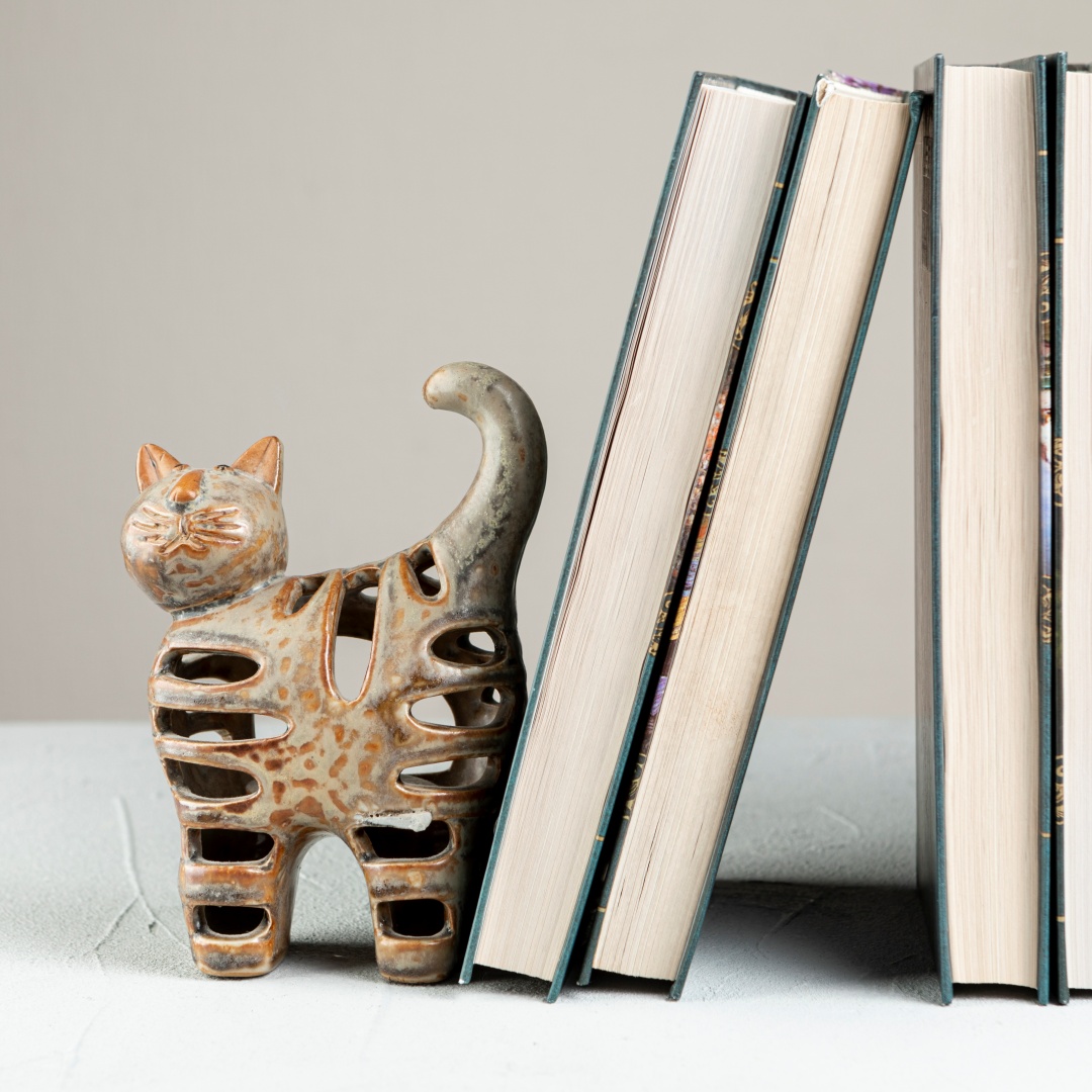 front-view-books-with-cat-stand-bookend
