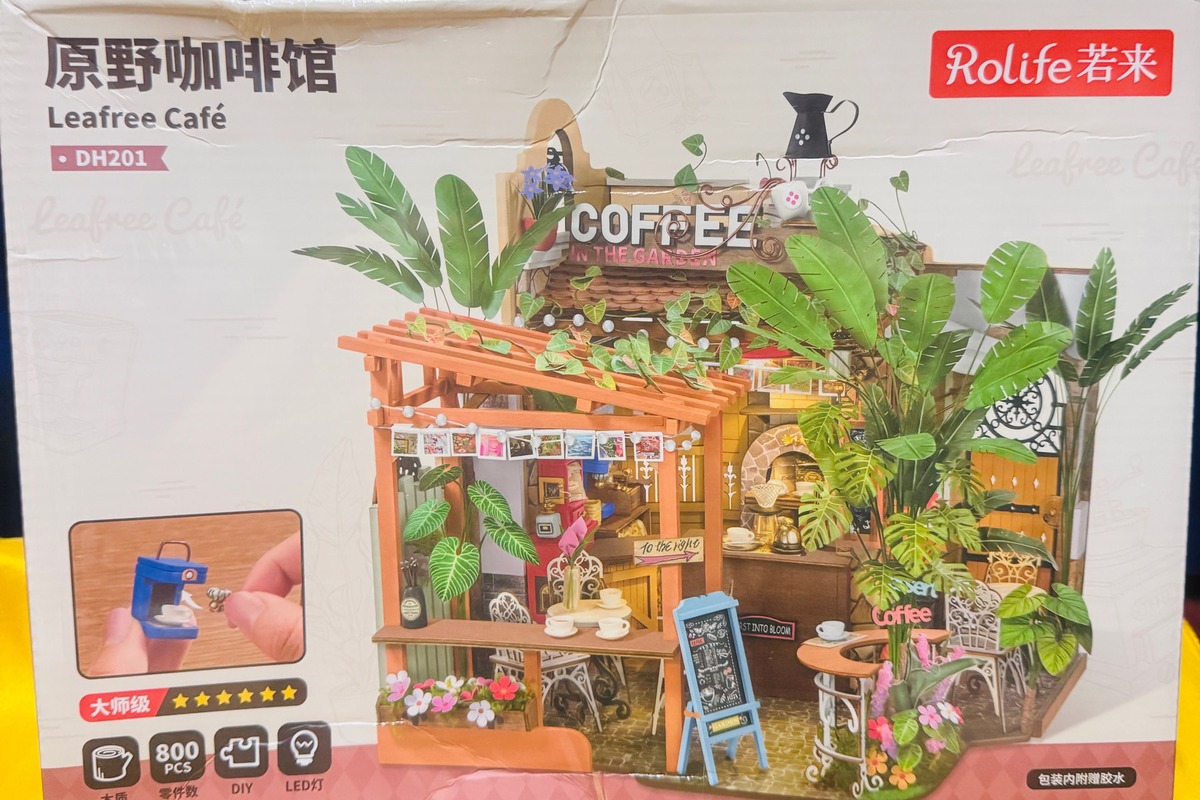 Leafree Cafe DH201 kit box at the start of ThaoNguyen's Rolife Community builder journey