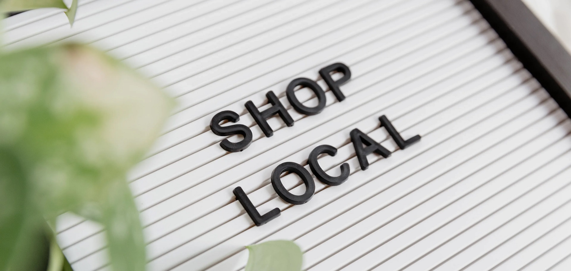 Find Rolife Local Retail Stores Near You