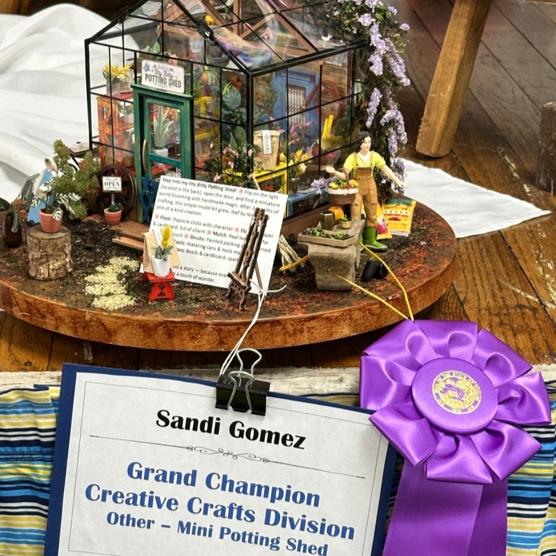 the Itty-Bitty Potting Shed win  the champion