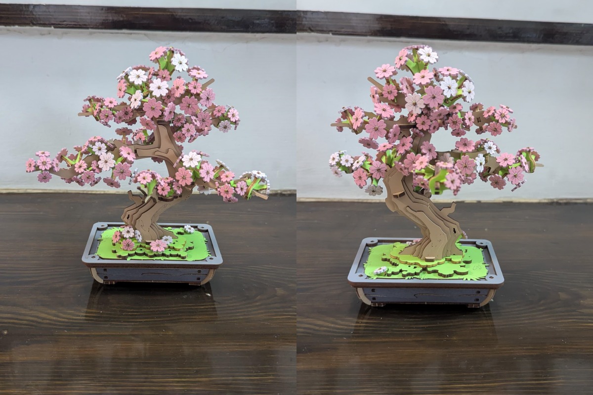 the finished pieces of sakura bonsai kit
