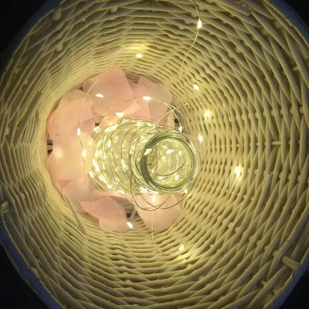 G-OUSSVE | LED Fairy Lights Battery Operated Christmas String Lights with Remote, Waterproof 8 Modes Firefly Twinkle Lights for Christmas Tree, Wreath Decor