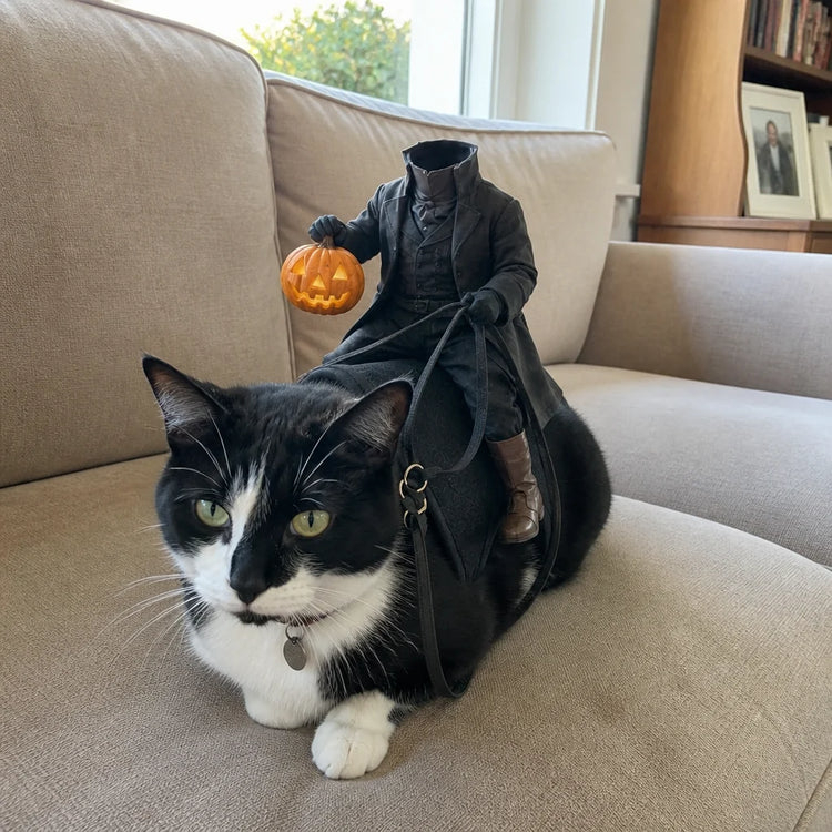 😺The Headless Horseman Rider Pet Costume🎃