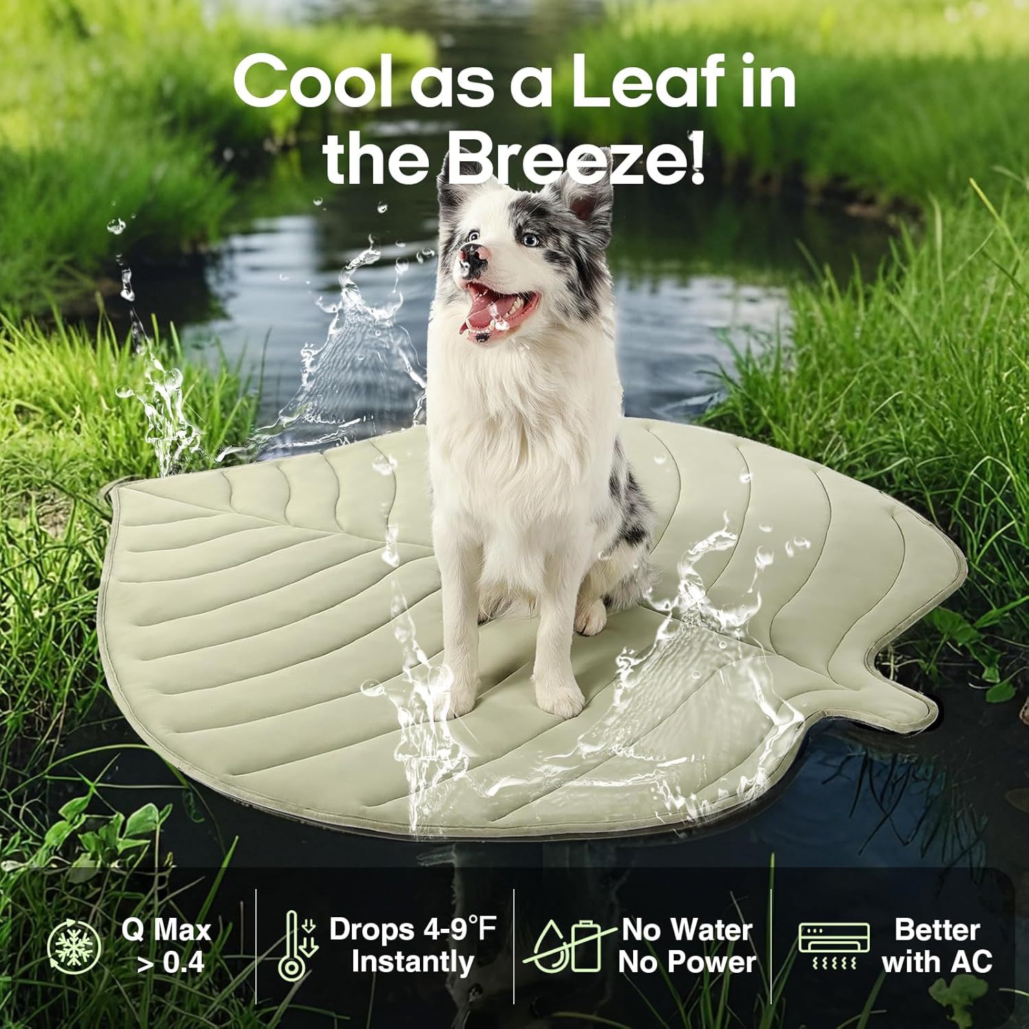 Dog Cooling Eco-friendly Mat